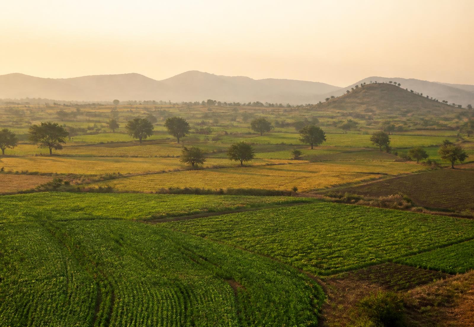 Central Indian farmland with patchwork fields and low hills at sunrise